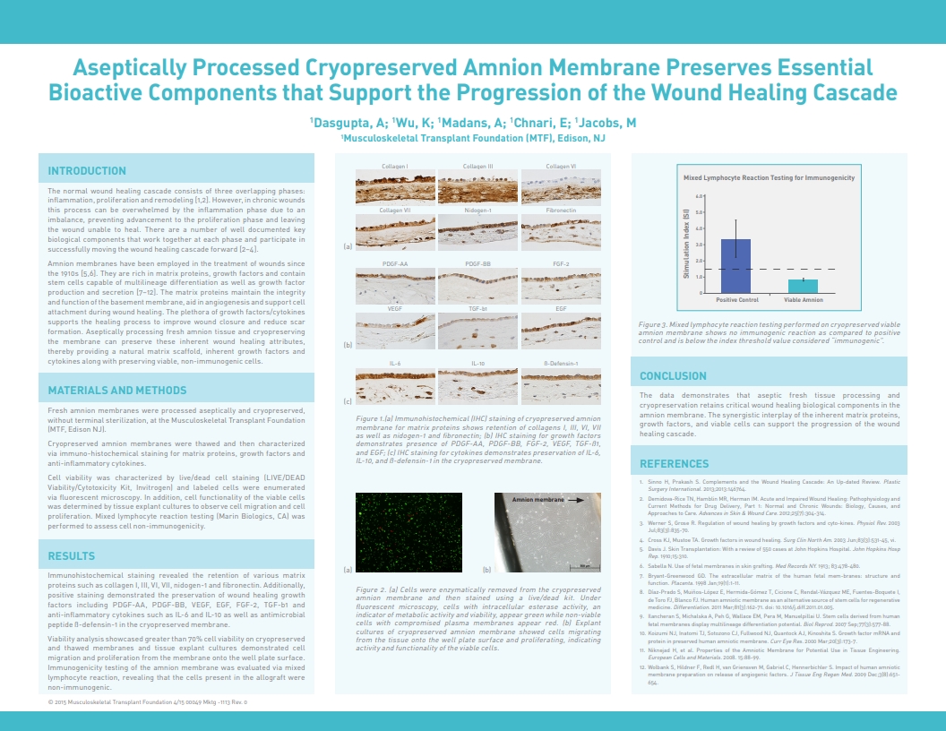 Dasgupta A, Wu K, Madans A, Chnari E, Jacobs M. Aseptically Processed Cryopreserved Amnion Tissue Preserves Essential Bioactive Components that Support the Progression of the Wound Healing Cascade. SAWC 2015 Spring. San Antonio, TX, USA