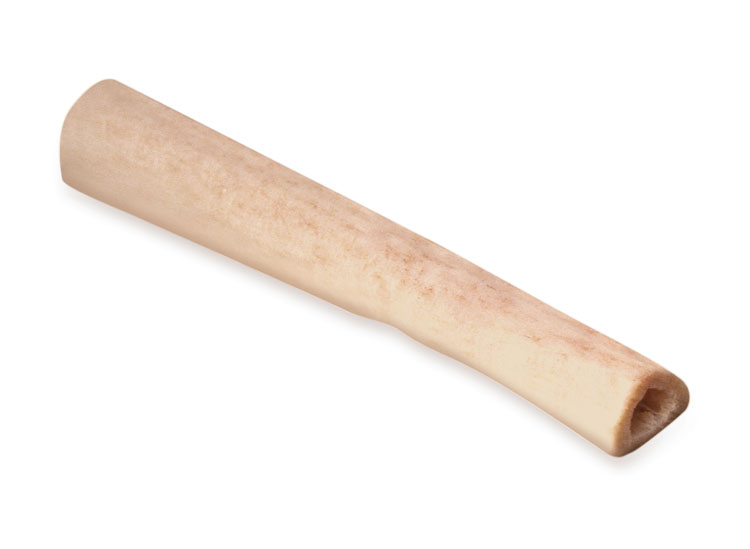Fibula Shaft