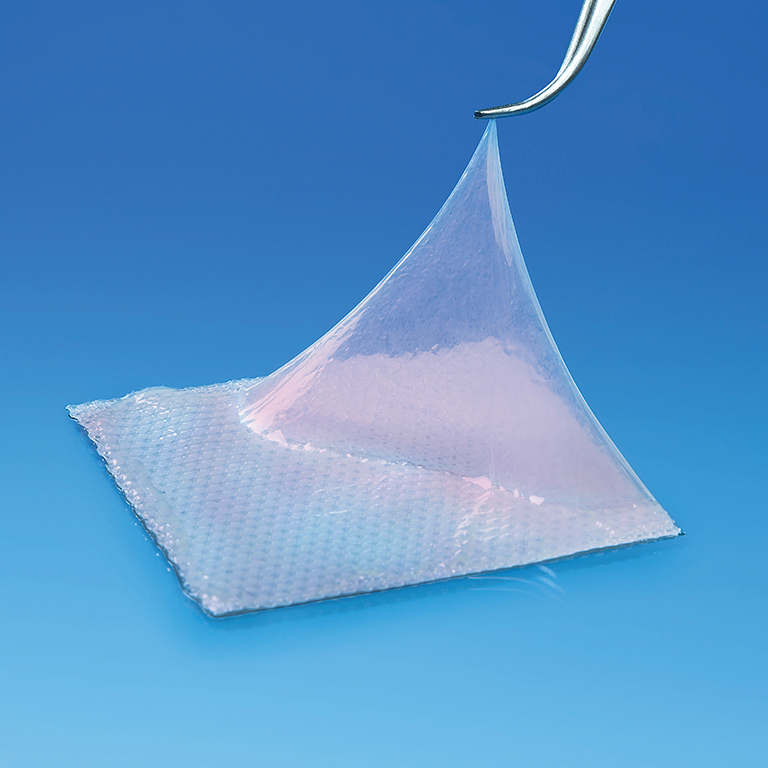 AmnioBand Viable Membrane