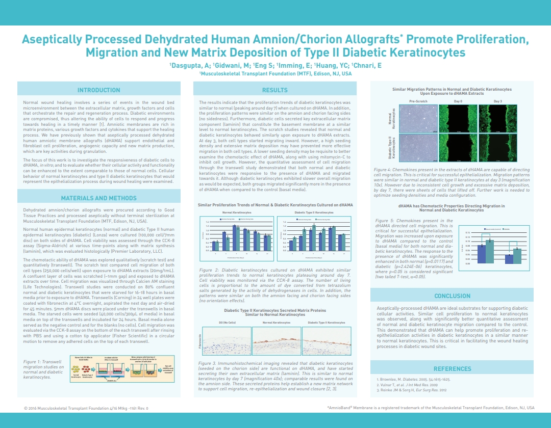 Dasgupta A, Huang YC, Gidwani M, Imming E, Eng S, Chnari E. Aseptically Processed Dehydrated Human Amnion/Chorion Allografts Promote Proliferation, Migration and New Matrix Deposition of Type II Diabetic Keratinocytes. SAWC 2016 Spring. Atlanta, GA, USA