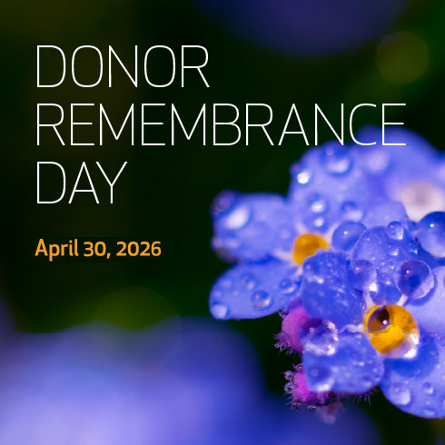 2026 Donor Remembrance Day