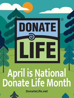 Social Media Graphics Download